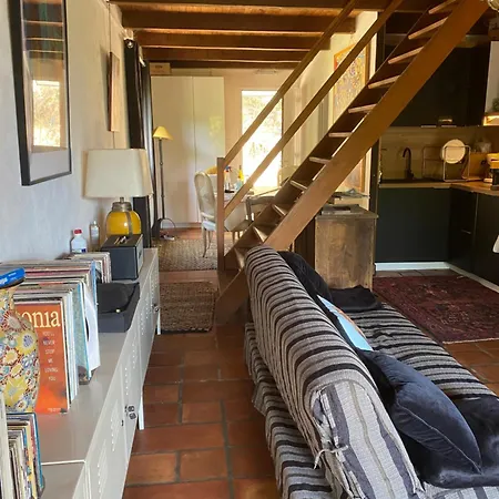 Cosy Apartamento Vico