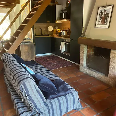 Cosy
